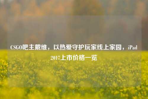 CSGO吧主戴维,以热爱守护玩家线上家园,iPad2017上市价格一览