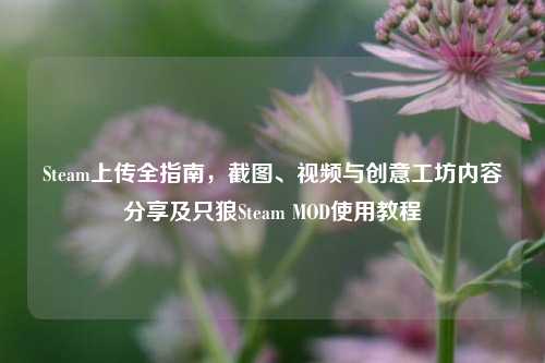 Steam上传全指南,截图、视频与创意工坊内容分享及只狼Steam MOD使用教程