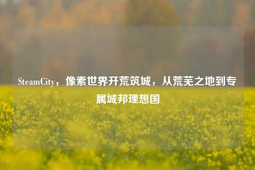SteamCity,像素世界开荒筑城,从荒芜之地到专属城邦理想国