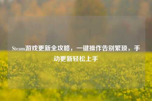 Steam游戏更新全攻略,一键操作告别繁琐,手动更新轻松上手