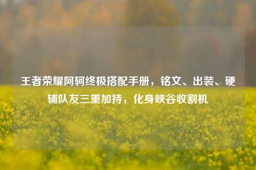 王者荣耀阿轲终极搭配手册,铭文、出装、硬辅队友三重加持,化身峡谷收割机
