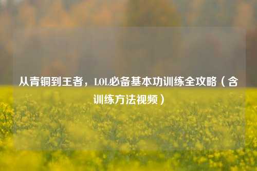 从青铜到王者，LOL必备基本功训练全攻略（含训练方法视频）