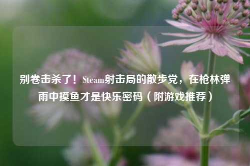 别卷击杀了！Steam射击局的散步党，在枪林弹雨中摸鱼才是快乐密码（附游戏推荐）
