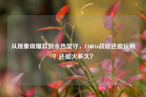 从现象级爆款到余热坚守,COD16战区还能玩吗?还能火多久?