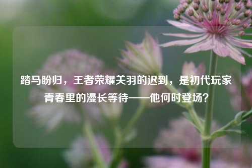 踏马盼归，王者荣耀关羽的迟到，是初代玩家青春里的漫长等待——他何时登场？