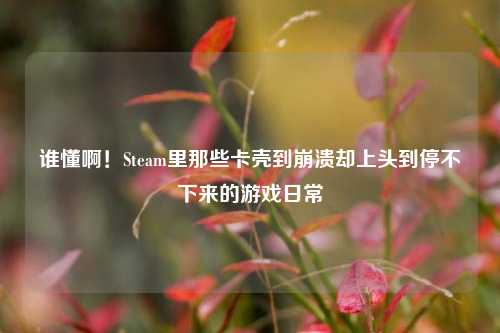 谁懂啊!Steam里那些卡壳到崩溃却上头到停不下来的游戏日常