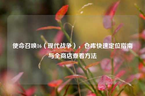 使命召唤16(现代战争),仓库快速定位指南与全商店查看方法