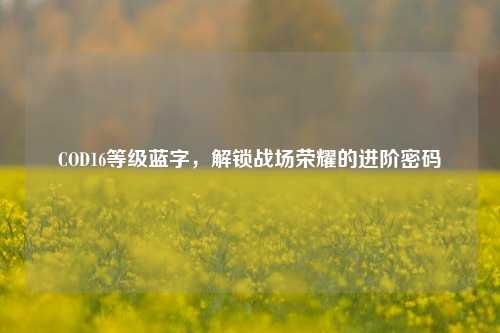COD16等级蓝字,解锁战场荣耀的进阶密码