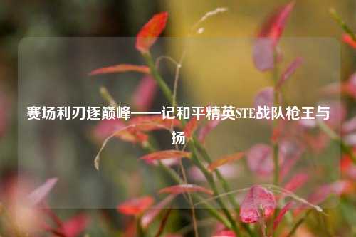 赛场利刃逐巅峰——记和平精英STE战队枪王与扬