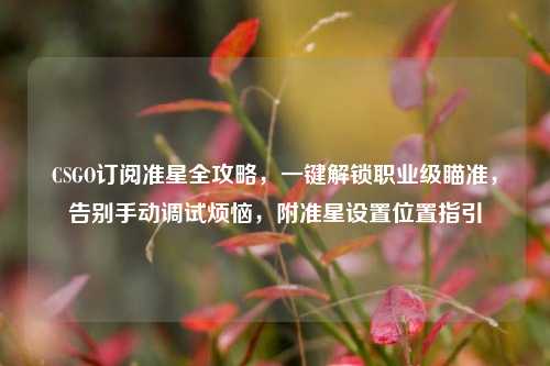 CSGO订阅准星全攻略，一键解锁职业级瞄准，告别手动调试烦恼，附准星设置位置指引