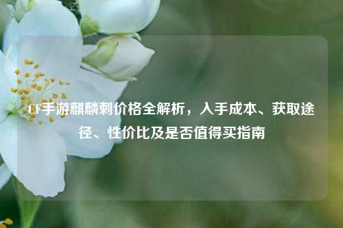 CF手游麒麟刺价格全解析,入手成本、获取途径、性价比及是否值得买指南