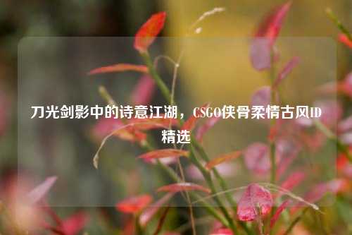 刀光剑影中的诗意江湖,CSGO侠骨柔情古风ID精选