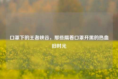 口罩下的王者峡谷,那些隔着口罩开黑的热血旧时光