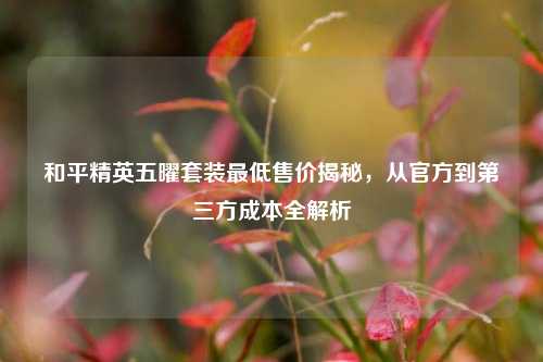 和平精英五曜套装最低售价揭秘,从官方到第三方成本全解析