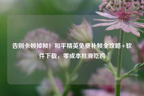 告别卡顿掉帧！和平精英免费补帧全攻略+软件下载，零成本丝滑吃鸡