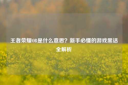 王者荣耀OB是什么意思?新手必懂的游戏黑话全解析