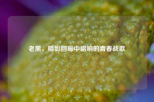 老黑，暗影回廊中唱响的青春战歌