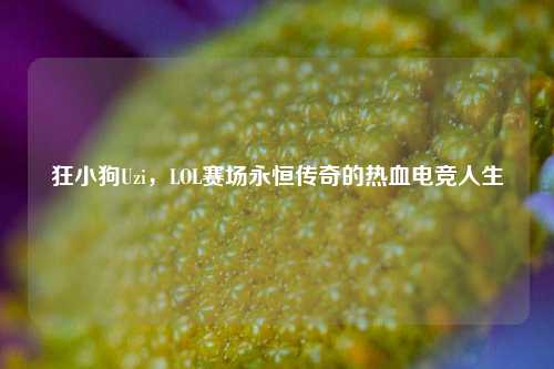 狂小狗Uzi,LOL赛场永恒传奇的热血电竞人生