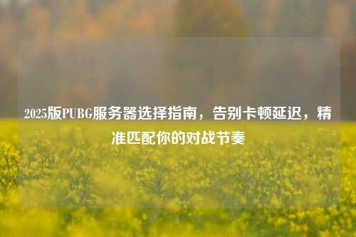 2025版PUBG服务器选择指南，告别卡顿延迟，精准匹配你的对战节奏