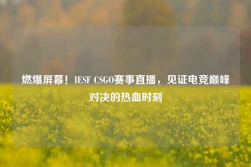 燃爆屏幕！IESF CSGO赛事直播，见证电竞巅峰对决的热血时刻