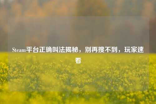 Steam平台正确叫法揭秘,别再搜不到,玩家速看