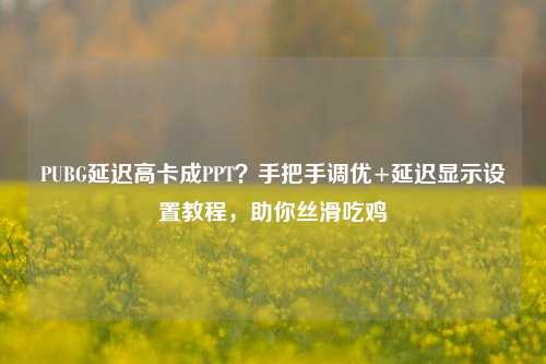 PUBG延迟高卡成PPT?手把手调优+延迟显示设置教程,助你丝滑吃鸡