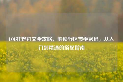 LOL打野符文全攻略,解锁野区节奏密码,从入门到精通的搭配指南