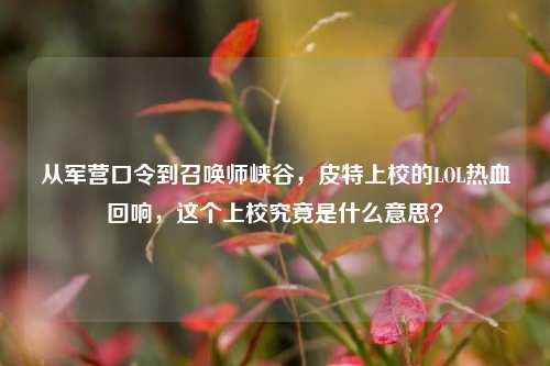 从军营口令到召唤师峡谷,皮特上校的LOL热血回响,这个上校究竟是什么意思?