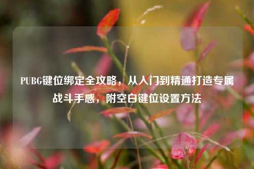 PUBG键位绑定全攻略,从入门到精通打造专属战斗手感,附空白键位设置方法