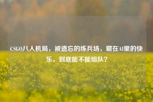 CSGO八人机局,被遗忘的练兵场,藏在AI里的快乐,到底能不能组队?
