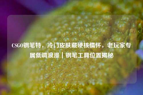 CSGO钢笔特,冷门皮肤藏硬核情怀,老玩家专属低调浪漫|钢笔工具位置揭秘