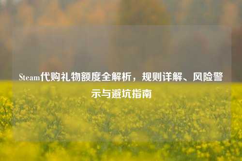 Steam代购礼物额度全解析,规则详解、风险警示与避坑指南