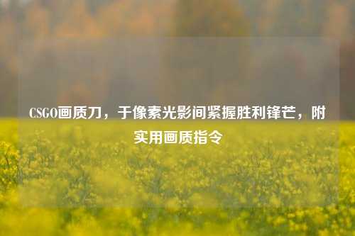 CSGO画质刀,于像素光影间紧握胜利锋芒,附实用画质指令
