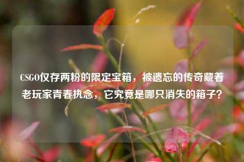 CSGO仅存两粉的限定宝箱,被遗忘的传奇藏着老玩家青春执念,它究竟是哪只消失的箱子?