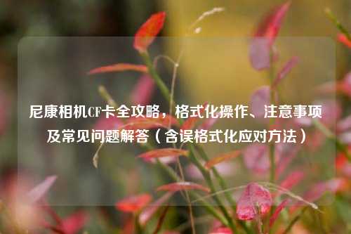 尼康相机CF卡全攻略,格式化操作、注意事项及常见问题解答(含误格式化应对方法)