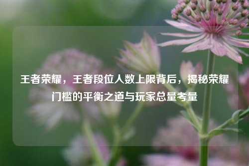 王者荣耀,王者段位人数上限背后,揭秘荣耀门槛的平衡之道与玩家总量考量
