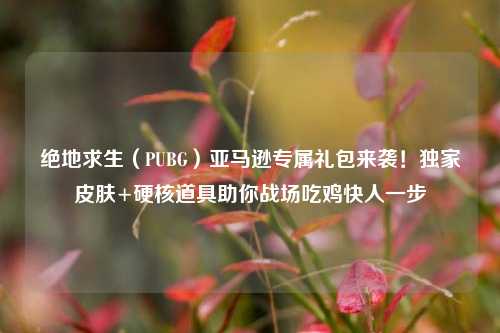 绝地求生(PUBG)亚马逊专属礼包来袭!独家皮肤+硬核道具助你战场吃鸡快人一步