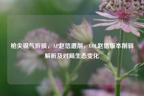 枪尖锐气折损,AP赵信遭削,LOL赵信版本削弱解析及对局生态变化