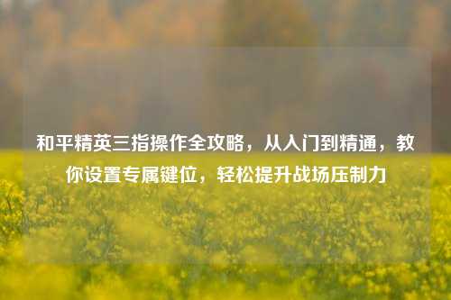 和平精英三指操作全攻略,从入门到精通,教你设置专属键位,轻松提升战场压制力