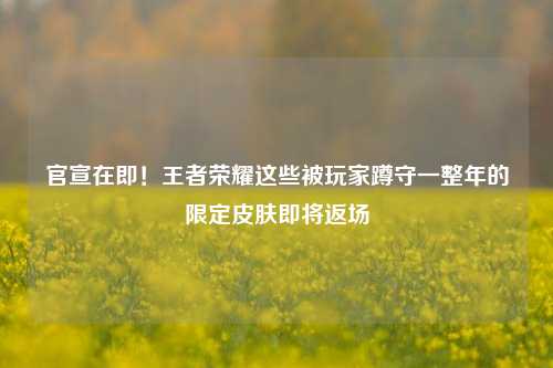 官宣在即!王者荣耀这些被玩家蹲守一整年的限定皮肤即将返场