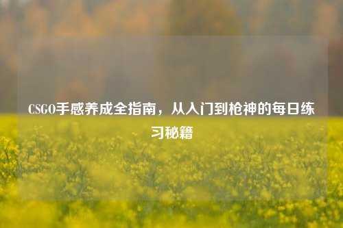 CSGO手感养成全指南，从入门到枪神的每日练习秘籍
