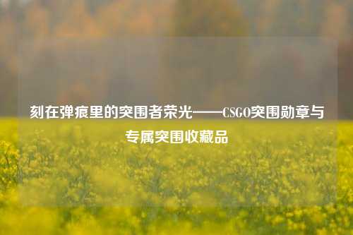 刻在弹痕里的突围者荣光——CSGO突围勋章与专属突围收藏品