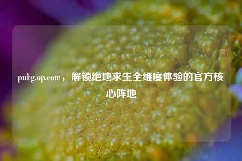 pubg.op.com，解锁绝地求生全维度体验的官方核心阵地