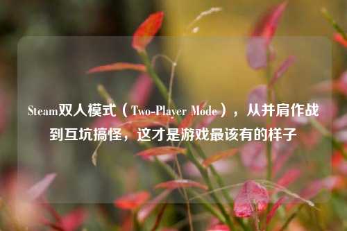 Steam双人模式(Two-Player Mode),从并肩作战到互坑搞怪,这才是游戏最该有的样子