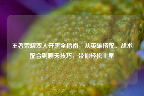 王者荣耀双人开黑全指南,从英雄搭配、战术配合到聊天技巧,带你轻松上星