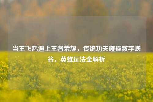 当王飞鸿遇上王者荣耀,传统功夫碰撞数字峡谷,英雄玩法全解析