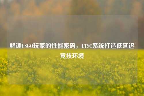 解锁CSGO玩家的性能密码,LTSC系统打造低延迟竞技环境