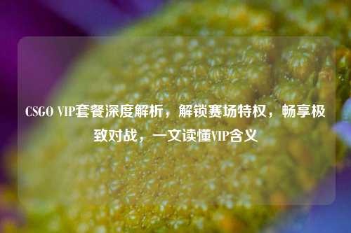 CSGO VIP套餐深度解析,解锁赛场特权,畅享极致对战,一文读懂VIP含义