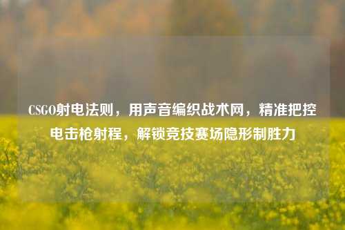 CSGO射电法则,用声音编织战术网,精准把控电击枪射程,解锁竞技赛场隐形制胜力