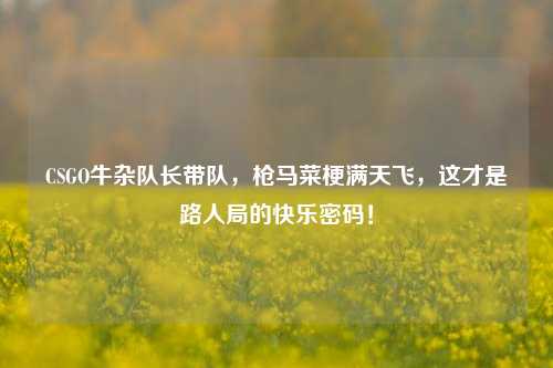 CSGO牛杂队长带队,枪马菜梗满天飞,这才是路人局的快乐密码!
